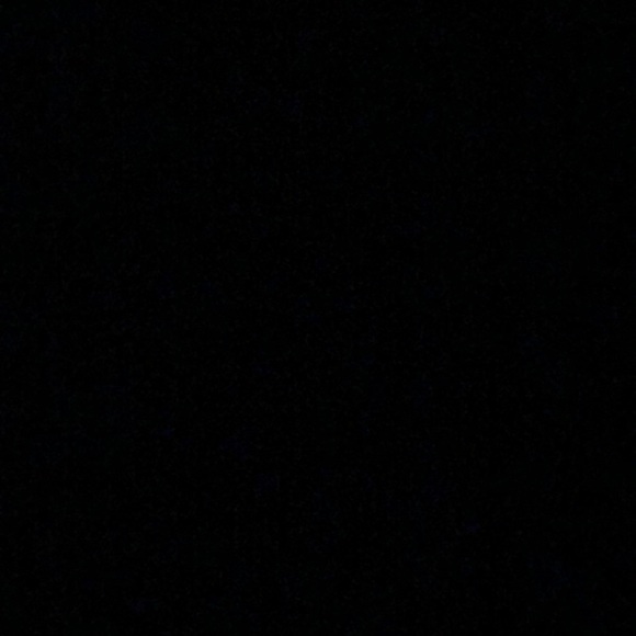 Meet your Posher, Max - Picture 1 of 1